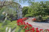 Vonkajšia záhrada v ubytovaní Villa Nichesola