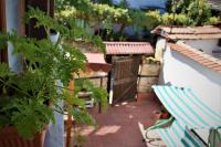 A garden outside Hotel Bilyana
