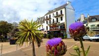 dos plantas con flores púrpuras delante de un edificio en Hotel du port, en Locquirec