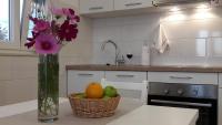 Kuchyňa alebo kuchynka v ubytovaní Apartman s pogledom