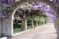 A garden outside Villino Oasi (Galatina)