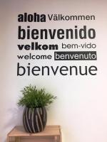 una planta en un jarrón sobre una mesa de madera en Alojamiento Jaén, en Madrid