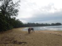 Koh Thmei Resort