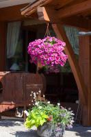 a hanging flower pot with pink flowers in it at Carlina in La Clusaz