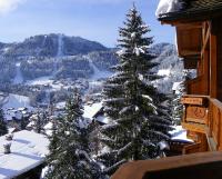 a snow covered christmas tree on top of a mountain at Carlina in La Clusaz