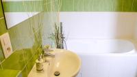 Koupelna v ubytování Apartment Říčky V Orlických Horách