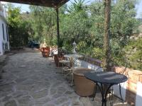Zahrada ubytování Villa Jacaranda
