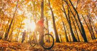 Jazda na bicykli v okolí ubytovania Hotel Iris Crillon