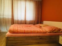 Postel nebo postele na pokoji v ubytování Apartman Jarosova