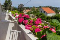 Vonkajšia záhrada v ubytovaní Apartments Ani