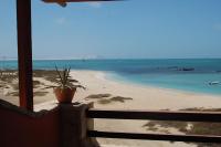 una maceta sentada en un balcón con vistas a la playa en BookingBoavista - Apartments, en Sal Rei