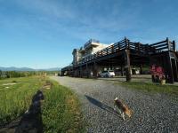 a cat walking down a gravel road in front of a building at Fully One B&amp;B in Taitung City