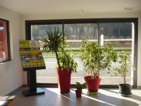 a group of potted plants sitting in front of a window at Hôtel Le 15 Périgueux in Coulounieix-Chamiers