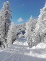 Garni Gimea during the winter