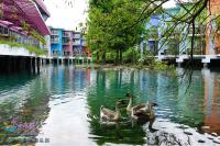 two geese swimming in a river in a city at River Forest Leisure Farm in Dongshan