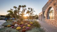 Vonkajšia záhrada v ubytovaní Horizon Beach Resort