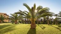 Vonkajšia záhrada v ubytovaní Horizon Beach Resort