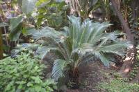 Vonkajšia záhrada v ubytovaní Il Giardino di Caronda