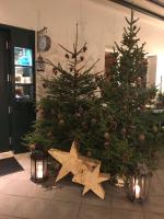 deux sapins de Noël dans une pièce illuminée dans l'établissement B&B Pizzeria Zur Traube, à Montagna