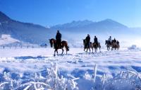 Hotel Gasthof Mitteregger - Beste Lage in Kaprun v zimě