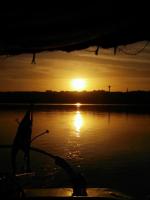 un perro parado en el agua al atardecer en The Mango Guest House, en Asuán