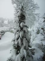 Ferienhaus Annenheim during the winter