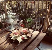 A balcony or terrace at B&B Stelle Di Roma