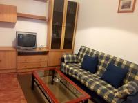 TV a/nebo společenská místnost v ubytování Apartamentos Sierra del Hacho