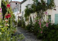 Clos du Pere Ignaceにある庭