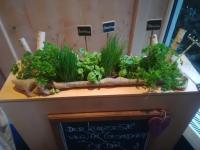 una exposición de vegetales y plantas sobre una mesa en Hotel Bannwaldsee, en Halblech