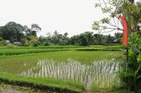 Saren Indah Hotel thumbnail 9