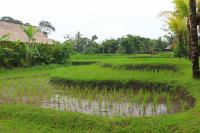 Saren Indah Hotel thumbnail 11