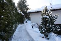 Villetta "Il Grillo" v zime
