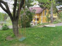 a swing hanging from a tree in a yard at Appartement Weingut Schoberhof in Bad Gleichenberg