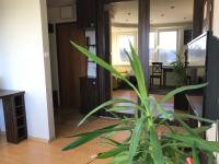 Televízia a/alebo spoločenská miestnosť v ubytovaní Widokowy Apartament nad Jeziorem