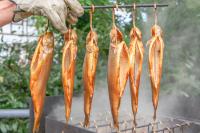 Φωτογραφία από το άλμπουμ του Unplugged Almhütte Waldbauer σε Reichenfels