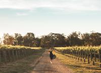 The Mitchelton Hotel Nagambie - MGallery by Sofitelの宿泊客