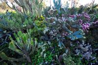A garden outside Hotel Villa d'Amato