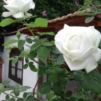 Plán poschodí v ubytovaní Casa Roberta