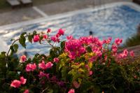 Bazén v ubytování Antonina Hotel nebo v jeho okolí