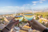 zwei Personen, die ein Glas Weißwein hochhalten in der Unterkunft Hotel El Balcon de las nieves in La Zubia