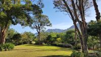 a large lawn with trees and mountains in the background at Around The Tree Manor in Shitan