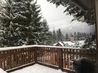 Apartmány Pinie Lipno v zimě