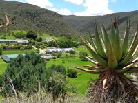 vistas a un campo verde con una gran planta en De Oude Meul Country Lodge &amp; Restaurant, en Oudtshoorn