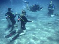Oonas Dive Club vendégei