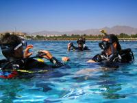 Oonas Dive Club vendégei