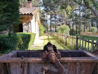 Zahrada ubytování Los Ranchales Vinuesa