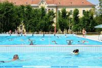 Bazén v ubytovaní CVSE Clubház és Panzió alebo v jeho blízkosti