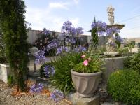 a flower garden with purple flowers in a pot at Le Logis d&#39;ANTIGNY in Val-du-Mignon