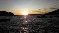 ゲストハウスの近くで見られる自然の景観